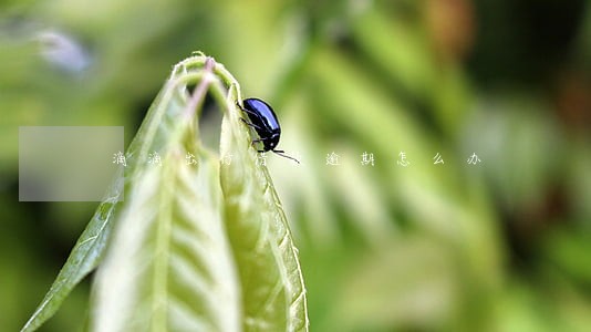 滴滴出行借款逾期怎么办 滴滴出行借款逾期怎么办