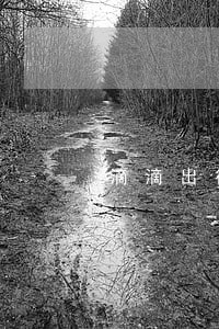 滴滴出行滴水贷逾期爆通讯录吗 滴滴出行滴水贷逾期爆通讯录吗