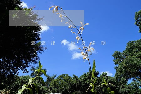 滴滴出行网贷逾期 滴滴出行网贷逾期