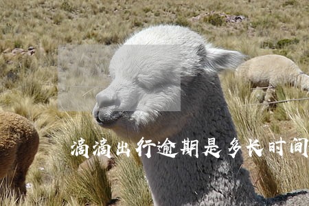 滴滴出行逾期是多长时间 滴滴出行逾期是多长时间