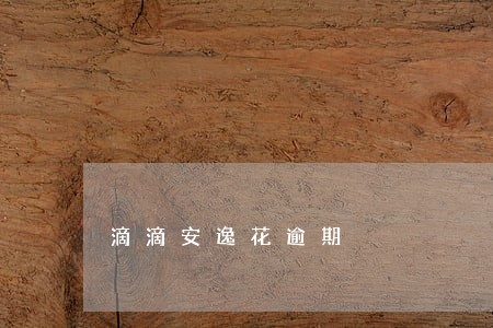 滴滴安逸花逾期 滴滴安逸花逾期
