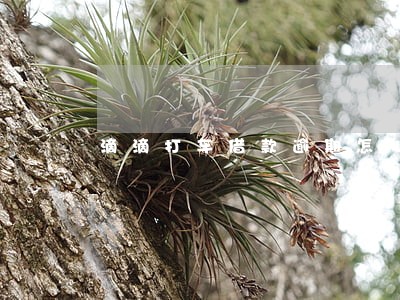 滴滴打车借款逾期怎么办 滴滴打车借款逾期怎么办