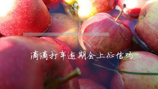 滴滴打车逾期会上征信吗 滴滴打车逾期会上征信吗