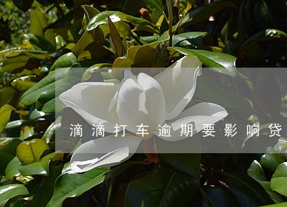 滴滴打车逾期要影响贷款吗 滴滴打车逾期要影响贷款吗