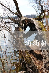 滴滴招联金融借钱逾期 滴滴招联金融借钱逾期