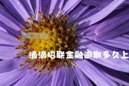 滴滴招联金融逾期多久上黑名单 滴滴招联金融逾期多久上黑名单