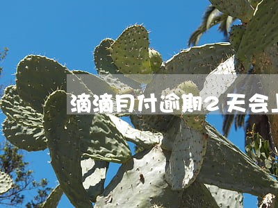 滴滴月付逾期2天会上征信吗 滴滴月付逾期2天会上征信吗
