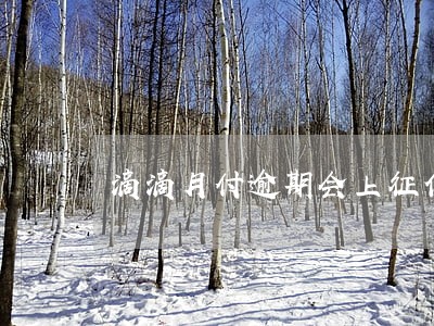 滴滴月付逾期会上征信吗 滴滴月付逾期会上征信吗