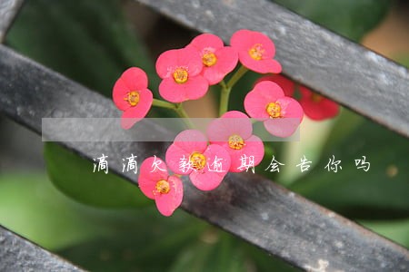 滴滴欠款逾期会告你吗 滴滴欠款逾期会告你吗