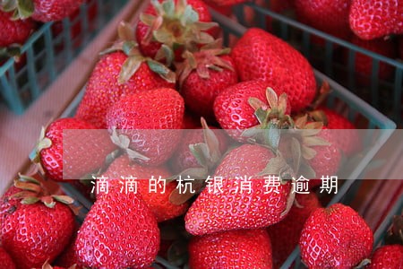 滴滴的杭银消费逾期 滴滴的杭银消费逾期