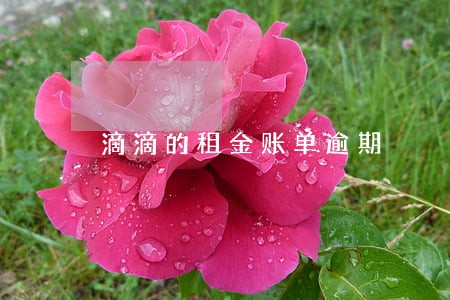 滴滴的租金账单逾期 滴滴的租金账单逾期
