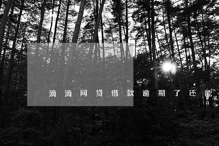 滴滴网贷借款逾期了还能跑滴滴吗 滴滴网贷借款逾期了还能跑滴滴吗