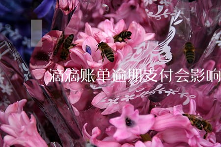 滴滴账单逾期支付会影响信用吗 滴滴账单逾期支付会影响信用吗