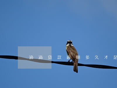 滴滴贷款逾期多久才是不良 滴滴贷款逾期多久才是不良