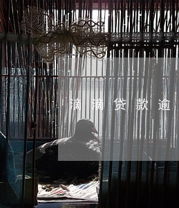 滴滴贷款逾期短信 滴滴贷款逾期短信