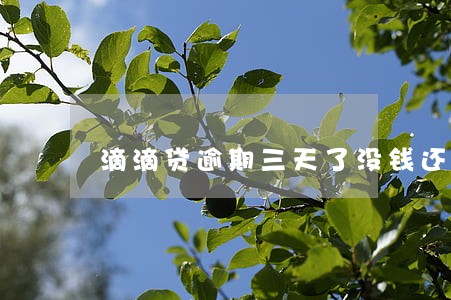 滴滴贷逾期三天了没钱还 滴滴贷逾期三天了没钱还