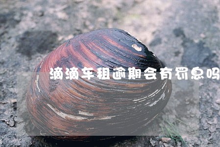 滴滴车租逾期会有罚息吗 滴滴车租逾期会有罚息吗