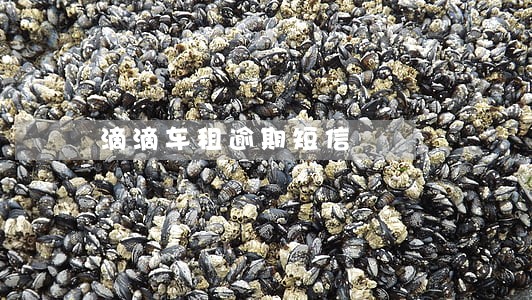 滴滴车租逾期短信 滴滴车租逾期短信