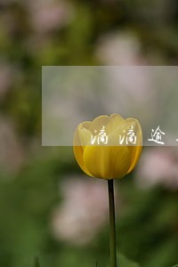 滴滴逾期5天会上征信 滴滴逾期5天会上征信