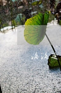 滴滴逾期一个月让全部还 滴滴逾期一个月让全部还