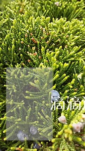滴滴逾期一天不接电话 滴滴逾期一天不接电话