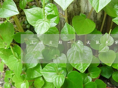 滴滴逾期一天说联系紧急联系人 滴滴逾期一天说联系紧急联系人