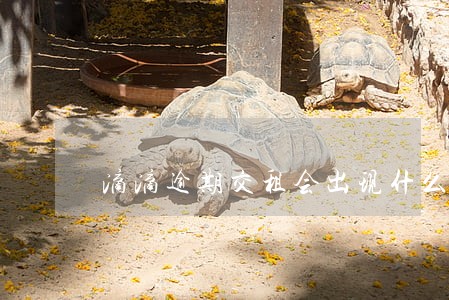 滴滴逾期交租会出现什么情况 滴滴逾期交租会出现什么情况
