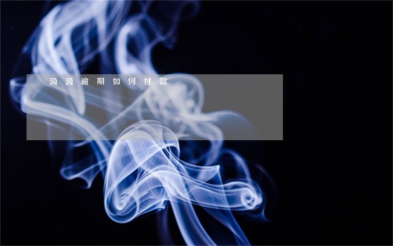 滴滴逾期如何付款