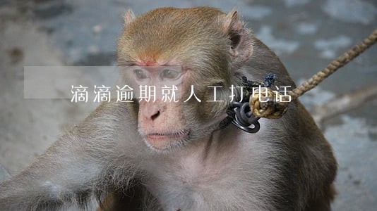 滴滴逾期就人工打电话 滴滴逾期就人工打电话