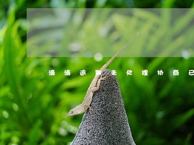滴滴逾期未处理协商已关闭 滴滴逾期未处理协商已关闭
