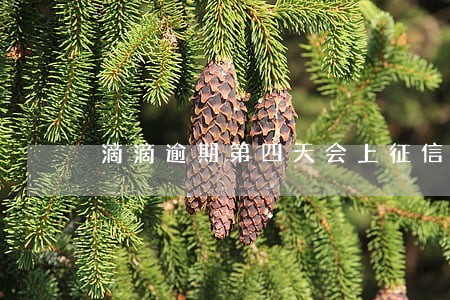 滴滴逾期第四天会上征信吗 滴滴逾期第四天会上征信吗
