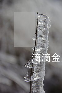 滴滴金融5000逾期1年 滴滴金融5000逾期1年