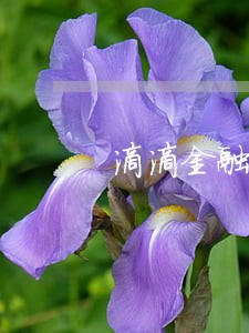 滴滴金融中原消费金融逾期 滴滴金融中原消费金融逾期