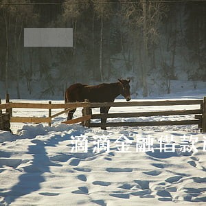 滴滴金融借款逾期了 滴滴金融借款逾期了
