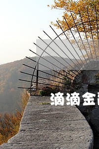 滴滴金融只还本金可以么
