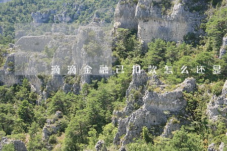 滴滴金融已扣款怎么还显示逾期 滴滴金融已扣款怎么还显示逾期