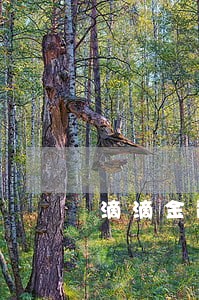 滴滴金融扣款后逾期 滴滴金融扣款后逾期