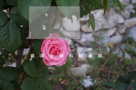 滴滴金融有过逾期 滴滴金融有过逾期