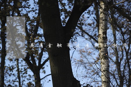 滴滴金融有过逾期不能借款了 滴滴金融有过逾期不能借款了