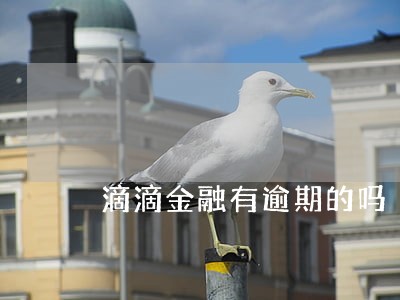 滴滴金融有逾期的吗 滴滴金融有逾期的吗