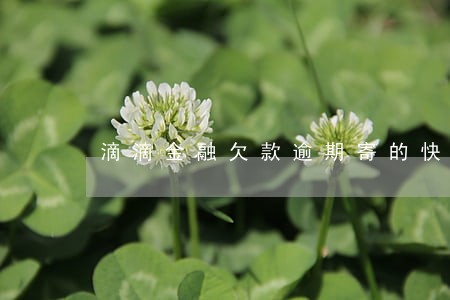 滴滴金融欠款逾期寄的快递 滴滴金融欠款逾期寄的快递