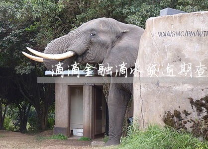 滴滴金融滴水贷逾期查询 滴滴金融滴水贷逾期查询
