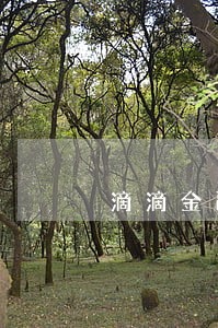 滴滴金融滴水贷逾期还不上 滴滴金融滴水贷逾期还不上