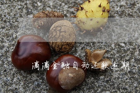 滴滴金融自动还款逾期 滴滴金融自动还款逾期