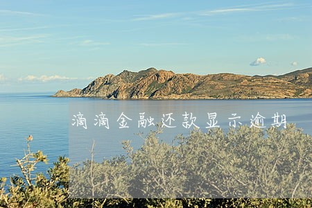 滴滴金融还款显示逾期 滴滴金融还款显示逾期