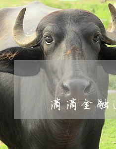 滴滴金融逾期20天了 滴滴金融逾期20天了
