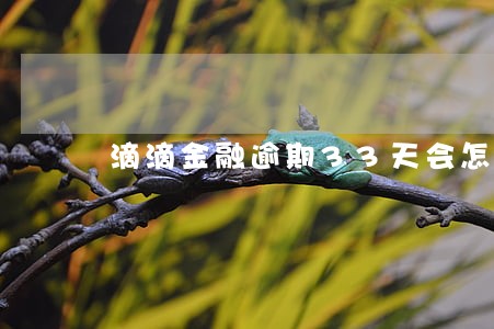 滴滴金融逾期33天会怎么样 滴滴金融逾期33天会怎么样