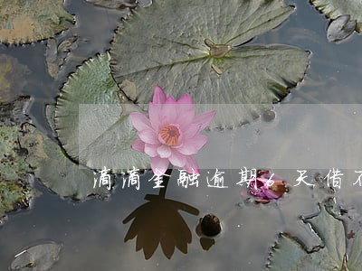 滴滴金融逾期6天借不出来了 滴滴金融逾期6天借不出来了