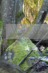 滴滴金融逾期一天打联系人电话 滴滴金融逾期一天打联系人电话