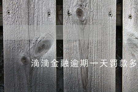 滴滴金融逾期一天罚款多少